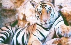 concours Nature à Gentelles