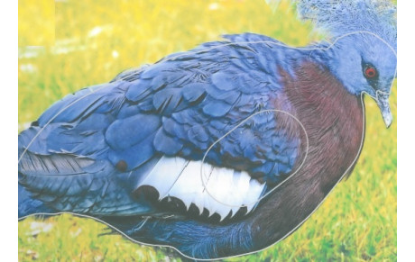 Mandat pour le tir nature du 24 et 25 Octobre