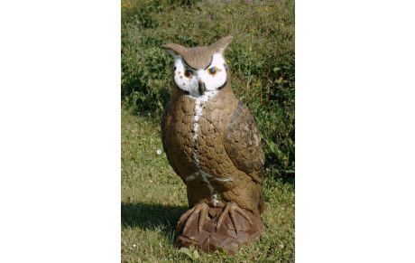 Concours 3D