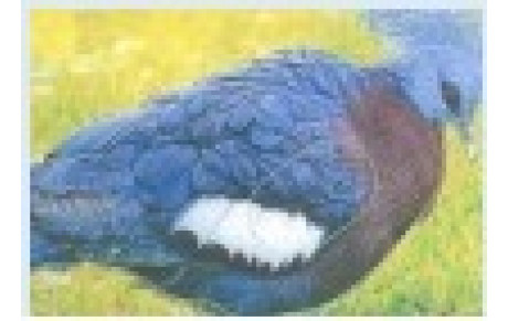 Concours Nature du 22 et 23 Octobre 2016